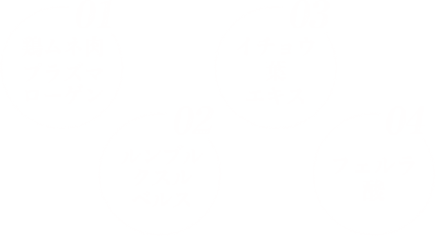 「鶏ムネ肉プラズマローゲン 1500mg」「ルンブルクスルベルス」「イチョウ葉エキス」「フェルラ酸」を配合