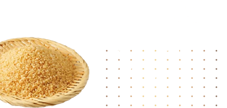 04.フェルラ酸 103mg