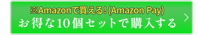 お得な10箱セットで購入する